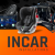 Incar Installations / Bears Auto Group